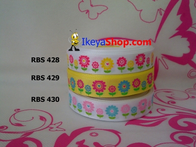 Pita RBS 428 430  large2